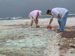 Florida tests inventors' sand-cleaning ideas (AP)