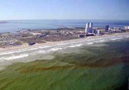 Forecast system to warn of toxic algal outbreaks along Texas' shoreline
