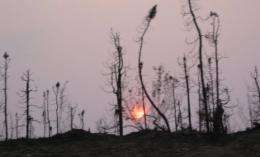 Frequent, severe fires turn Alaskan forests into a carbon production line