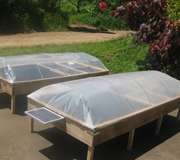 Fruit-bearing solar crop dryer could provide for thousands