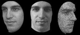 Genes responsible for ability to recognize faces