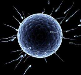 Genetic alteration linked with human male infertility