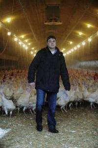 Germany halts pork, egg sales in dioxin scare (AP)