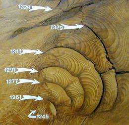 Giant Sequoias Yield Longest Fire History from Tree Rings
