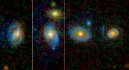 Giant Ultraviolet Rings Found in Resurrected Galaxies 		 	