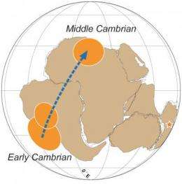 Gondwana supercontinent underwent massive shift during Cambrian explosion