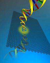 Graphene may hold key to speeding up DNA sequencing