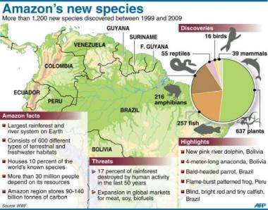 Graphic on a new WWF report released Tuesday on a decade of discoveries in the Amazon rainforest