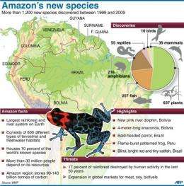Graphic on a WWF study reporting the discovery of new species in the Amazon region over the past decade