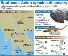 Graphic on newly discovered species in the Greater Mekong region