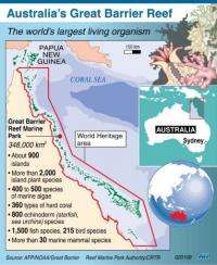 Graphic showing Australia's Great Barrier Reef.