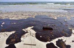 Gulf oil dispersants unlikely to be endocrine disruptors and have relatively low cell toxicity