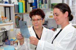 Hebrew University researchers discover expanded role for cancer-causing gene
