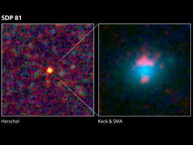 Herschel's hidden talent: digging up magnified galaxies