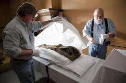Hunt for bird mummy in Conn. comes up empty