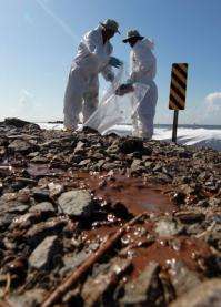 Hurricane Alex left beaches, shorelines and marshes lay smeared with thick patches of oil