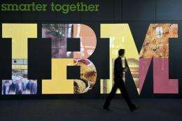 IBM said Netezza, a publicly held company based in Massachusetts, will expand IBM's business analytics sector