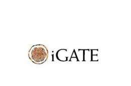 iGate is eyeing purchase of Indian software firm