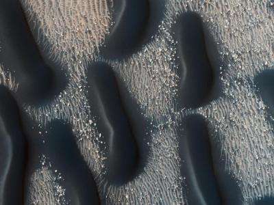 Image: Dark dune fields of proctor crater, Mars