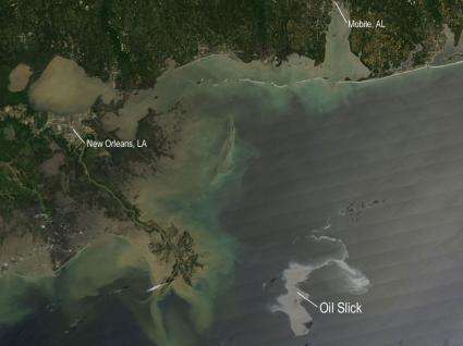 Image: Oil Slick Spreads off Gulf Coast