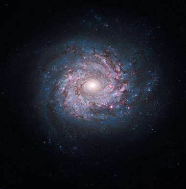 Image: Pinwheel of star birth