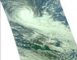 Imani reaches cyclone status 'by the tail'
