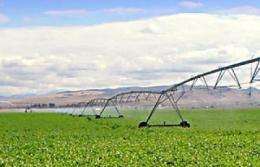 Irrigation's cooling effects may mask warming in some regions -- for now