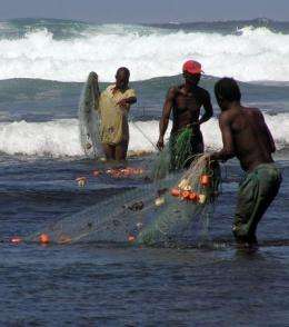 Kenya's fisheries management promotes species that grow larger and live longer