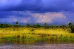 Land Deal Likely to Improve Everglades, Ecologists Say