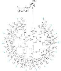 Large tree-like sugar clusters provide potential in vivo probes for cancer cells