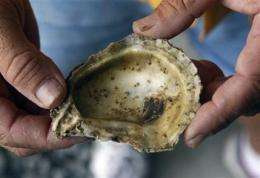 La. scientist's oysters safe from oil, but pricey (AP)