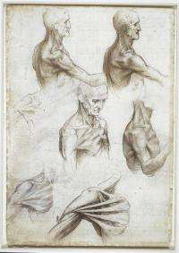 Leonardo's anatomical sketches fascinate modern-day anatomist