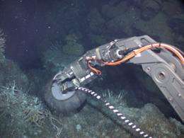 Life thrives in porous rock deep beneath the seafloor, scientists say