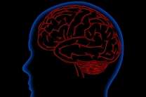 Magnetic test reveals hyperactive brain network responsible for involuntary flashbacks