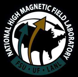 Magnet lab reclaims world record for highest-field resistive magnet