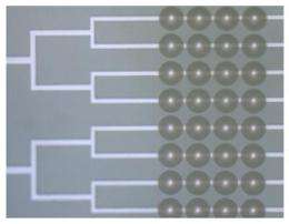 Marriage of microfluidics and optics could advance lab-on-a-chip devices