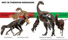 Meat-eating dinosaurs not so carnivorous after all