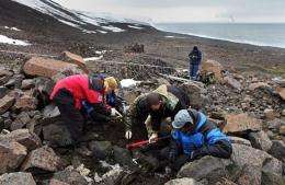 Members of an expedition digging on the coast of Franz Josef Land in Russia