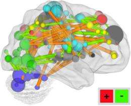 Mental maturity scan tracks brain development