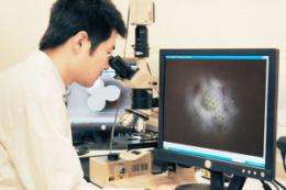 Microscope could 'solve the cause of viruses'
