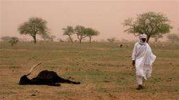Millions face hunger in arid belt of Africa (AP)