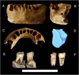 Modern human emerged earlier than previously thought, scientists say