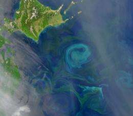 More hurricanes in greener seas?