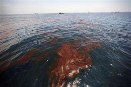 More of Gulf closed to fishing because of spill (AP)