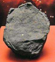 Murchison meteorite reveals diversity of early Solar System