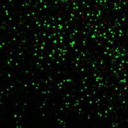 Nanoblasts from laser-activated nanoparticles move molecules, proteins and DNA into cells