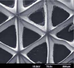 Nanoengineers aim to grow tissues with functional blood vessels