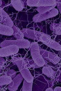 'Nanofactories': Stopping Bacterial Infections Without Antibiotics