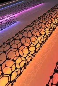 Nanotubes behave as optical antennae
