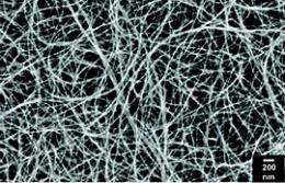Nanotube Thermocells Hold Promise as Energy Source